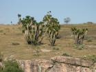 thumbs/041030_Mexico 043.jpg